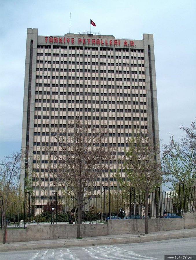 PETROL SAHALARI